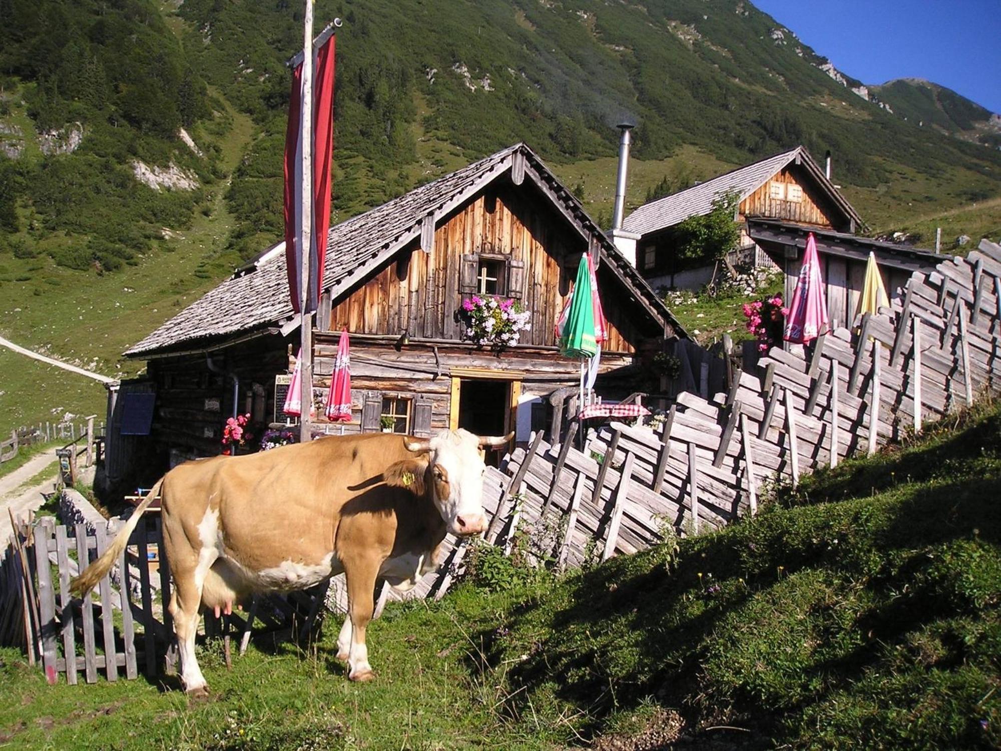 格绍雷娜特壶奈尔旅馆公寓 外观 照片